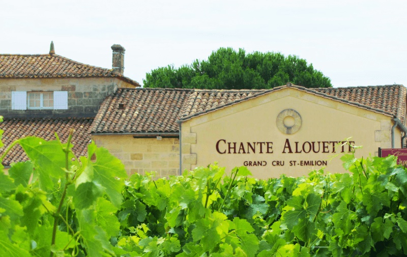 Château Chante Alouette property